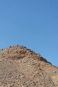 1378744_10153362425600360_1288977845_n